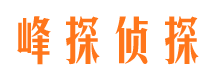 大方出轨调查